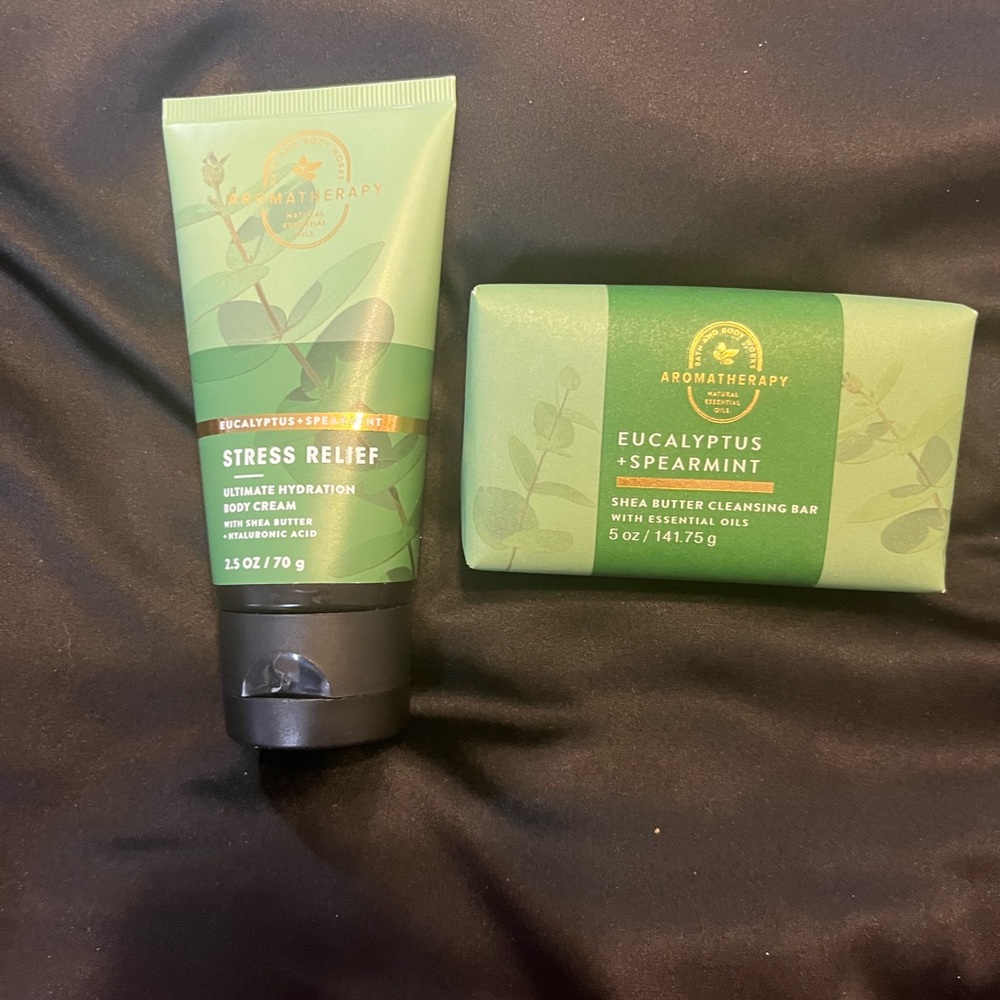Bath and body works duo